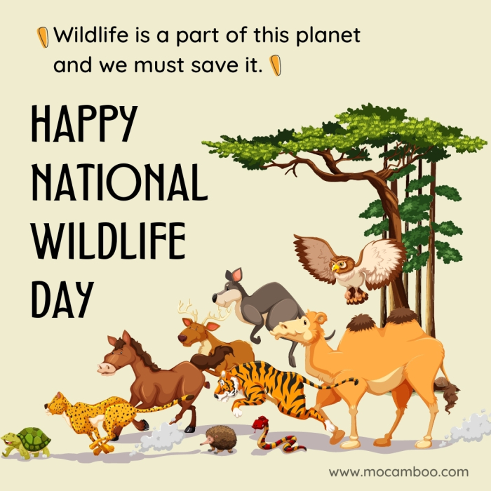 100+ Slogans on Saving The Wildlife With Images Slogans Buddy