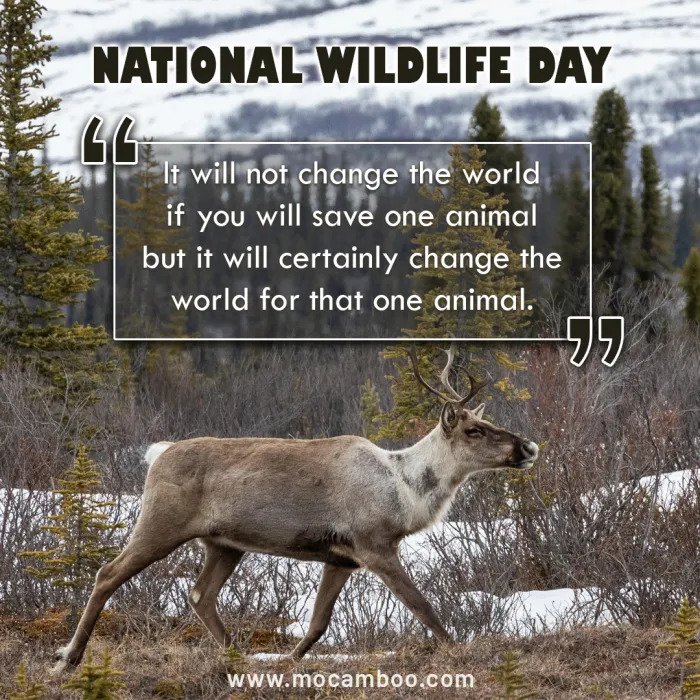 100 Slogans On Saving The Wildlife With Images Slogans Buddy 100-slogans-on-saving-the-wildlife-with-images-slogans-buddy