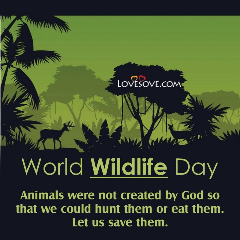 100-slogans-on-saving-the-wildlife-with-images-slogans-buddy