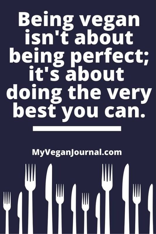 100+ Slogans on Veganism Slogans Buddy
