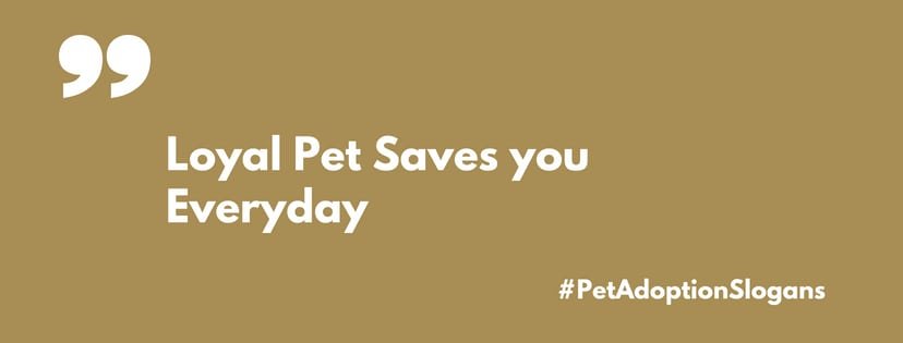60 Amazing Dog Slogans Slogans Buddy each-and-every-pet-lover-in-this-world-want-their-pets-to-stay-in-a