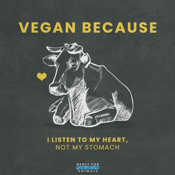 100+ Slogans on Veganism Slogans Buddy