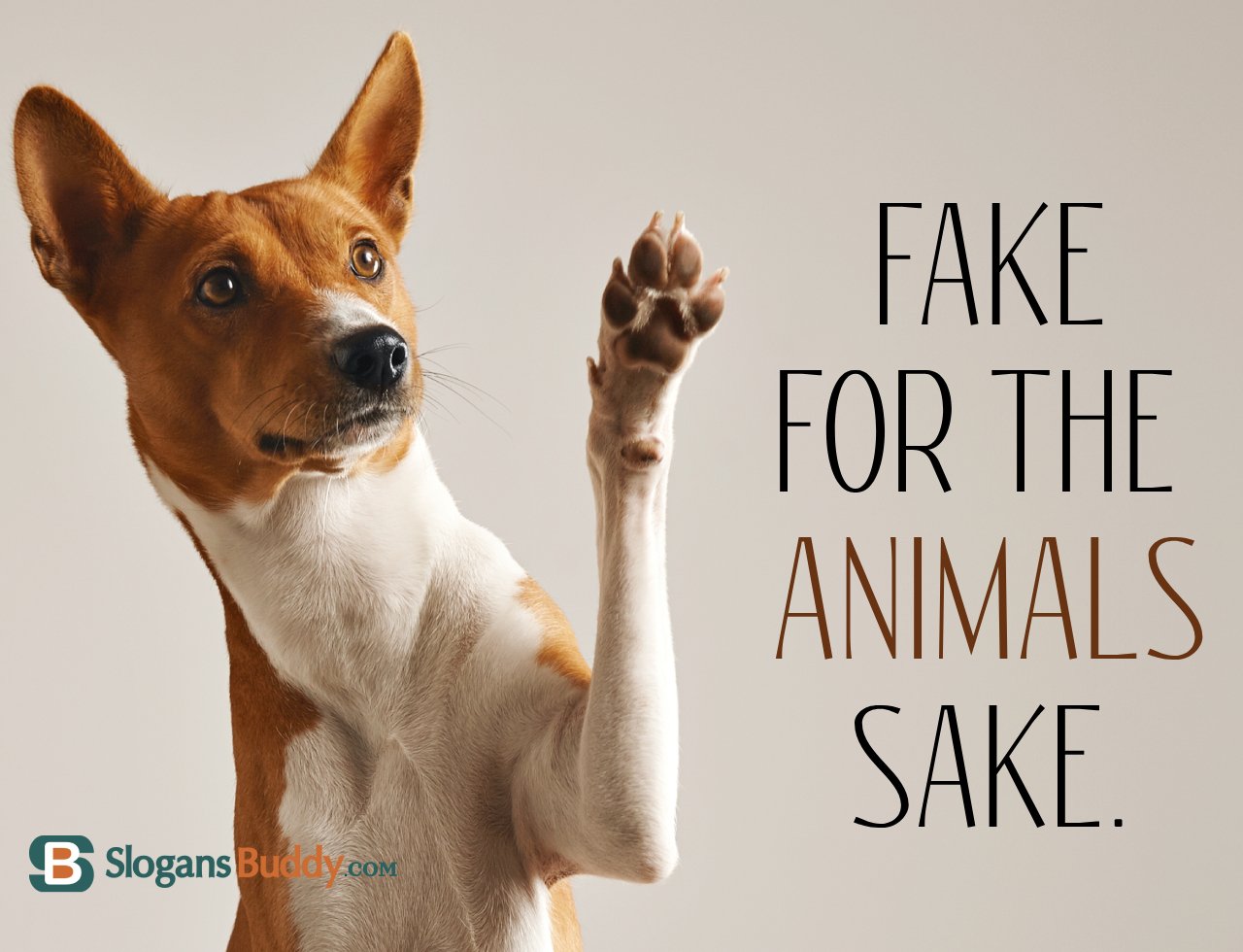 50+ Anti-Fur Slogans - Slogans Buddy